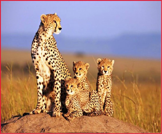 Cheap flights to Entebbe from London cheap flights to Entebbe from London